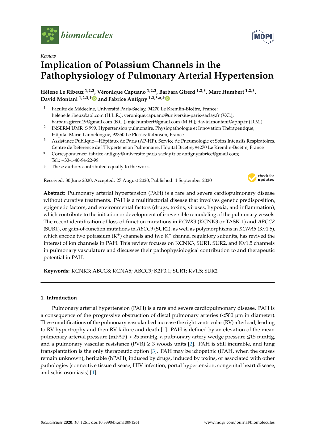 Implication of Potassium Channels in the Pathophysiology of Pulmonary Arterial Hypertension