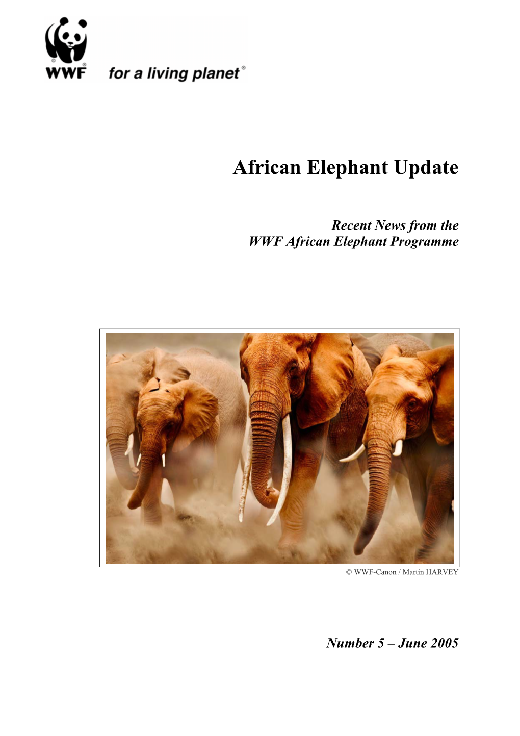 The African Elephant Under Threat