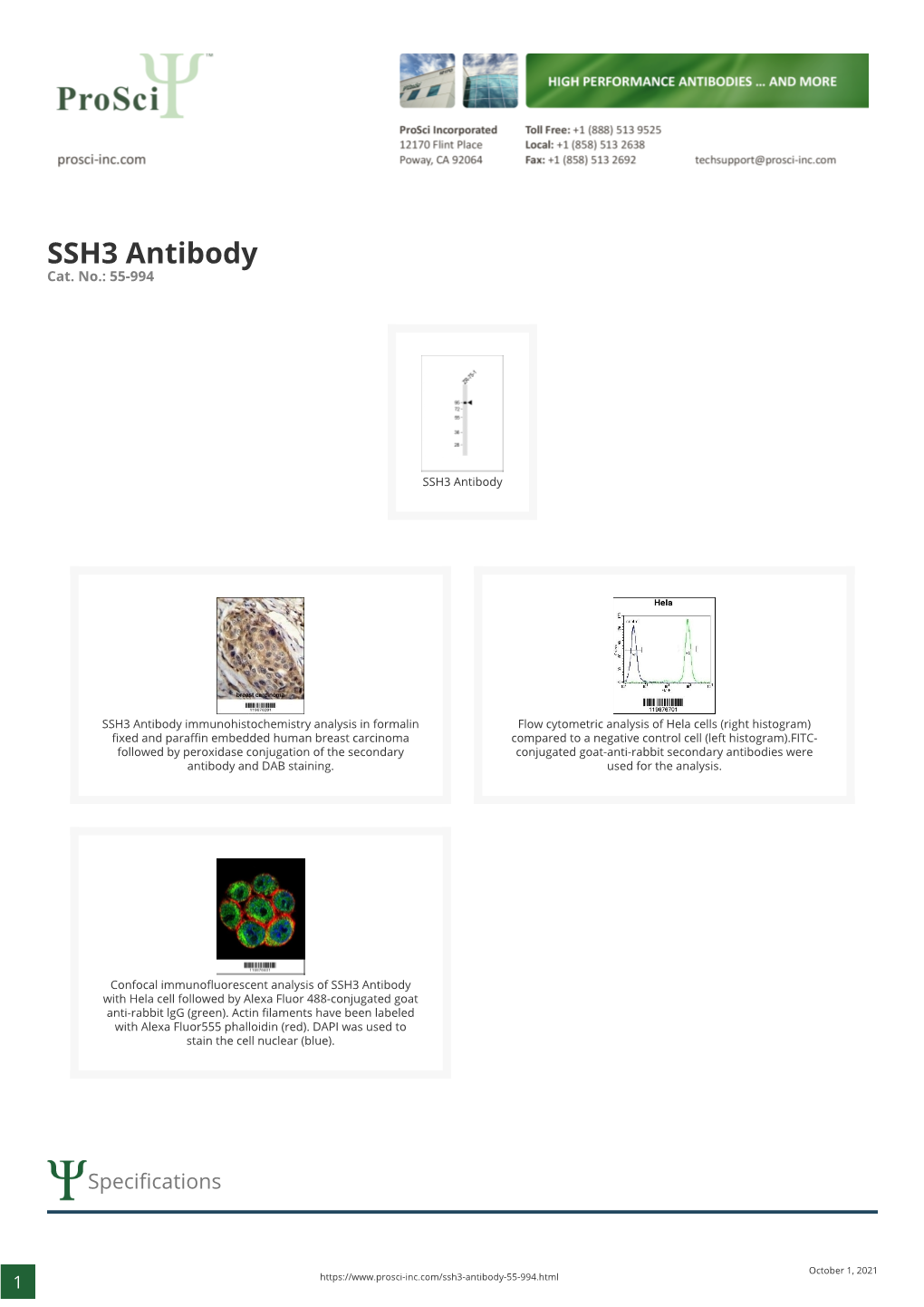 SSH3 Antibody Cat