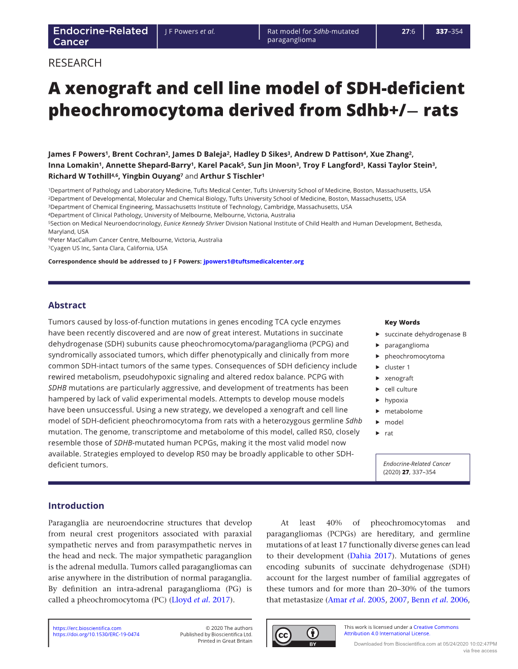 A Xenograft and Cell Line Model of SDH-Deficient Pheochromocytoma Derived from Sdhb+/− Rats