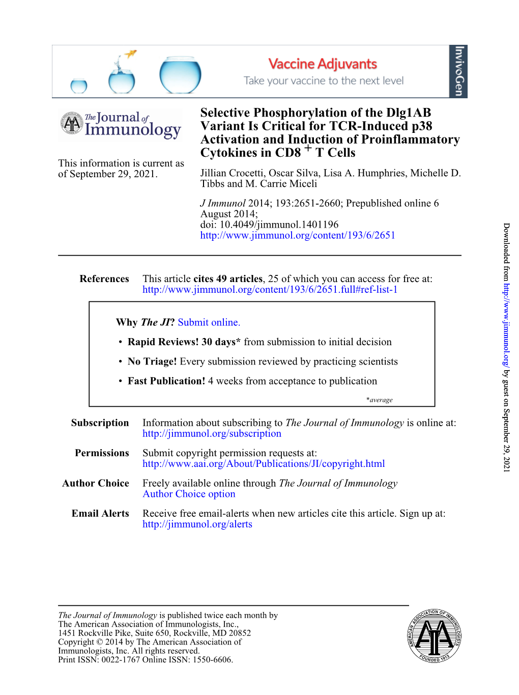 T Cells + Cytokines in CD8 Activation and Induction of Proinflammatory