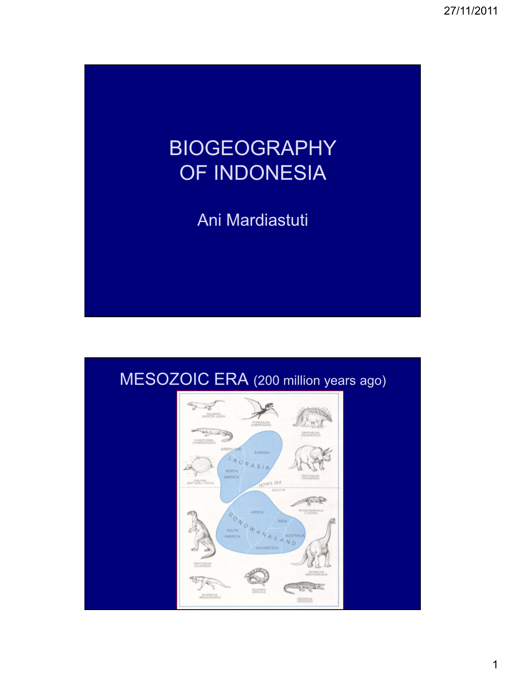 Biogeography of Indonesia