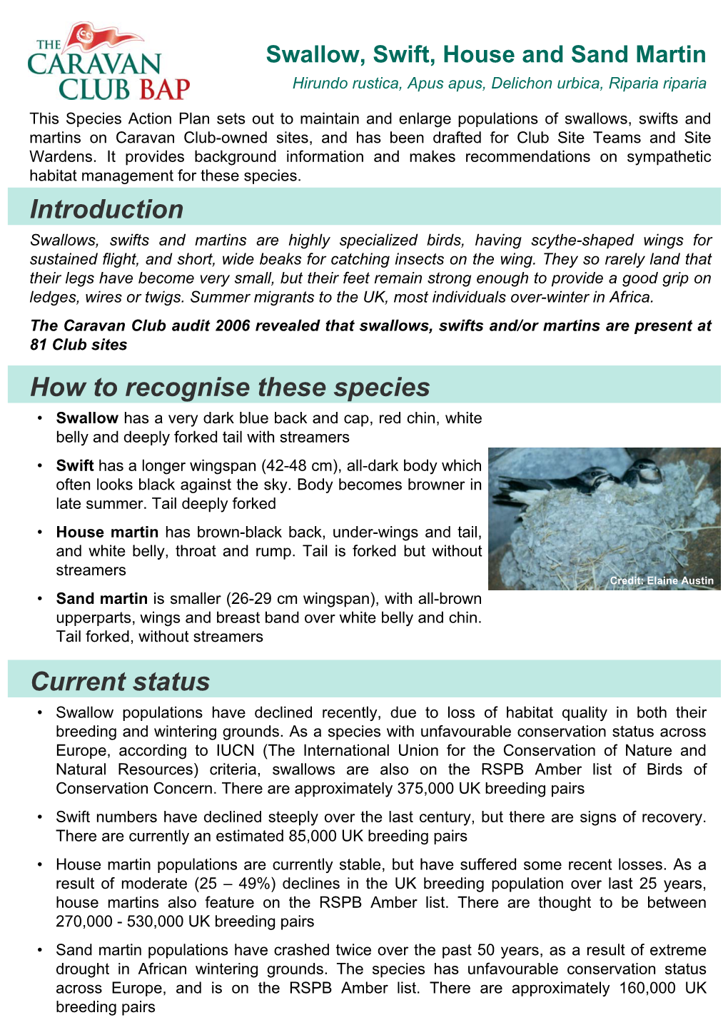 Introduction How to Recognise These Species Current Status