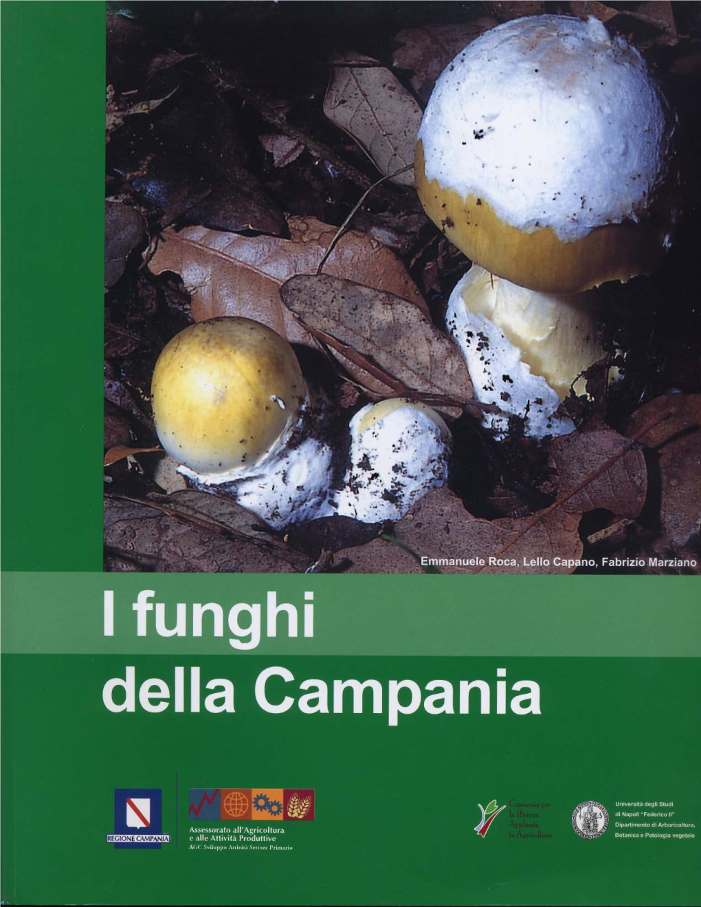 Funghi Campania