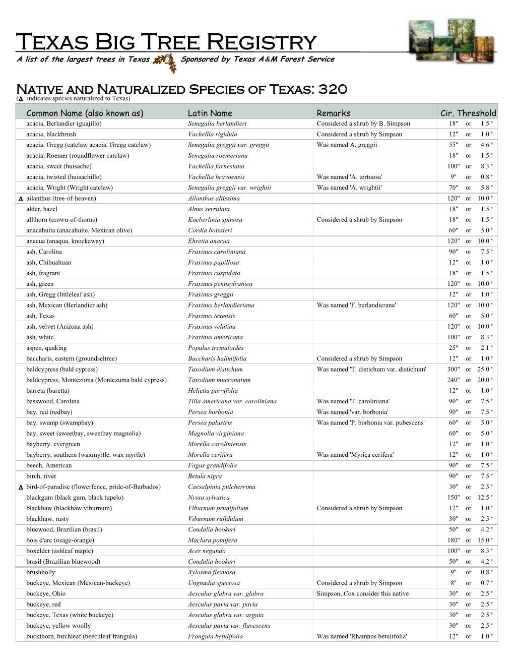 Texas Big Tree Registry a List of the Largest Trees in Texas Sponsored by Texas a & M Forest Service