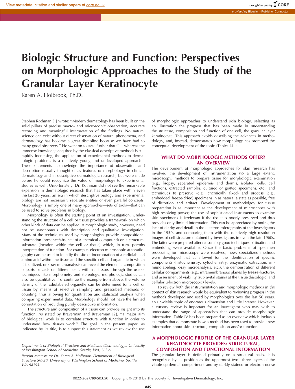 Perspectives on Morphologic Approaches to the Study of the Granular Layer Keratinocyte Karen A