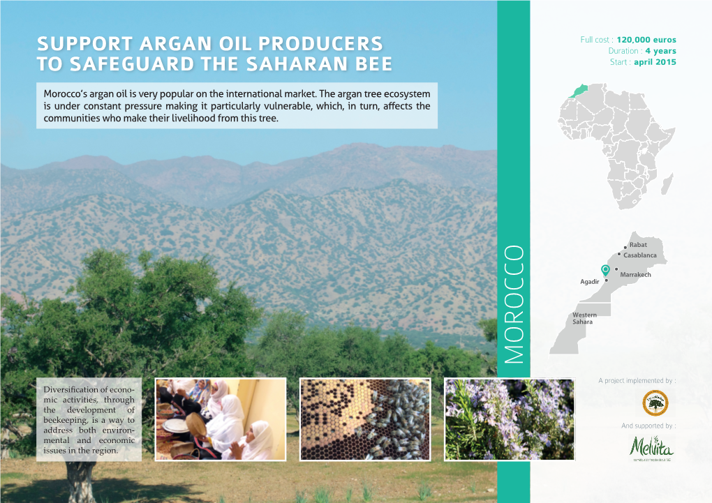 Morocco’S Argan Oilisvery Popularonthe Internationalmarket