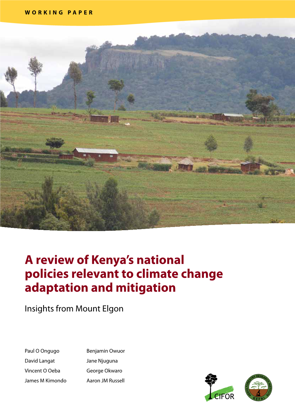 A Review of Kenya's National Policies Relevant to Climate Change Adaptation and Mitigation