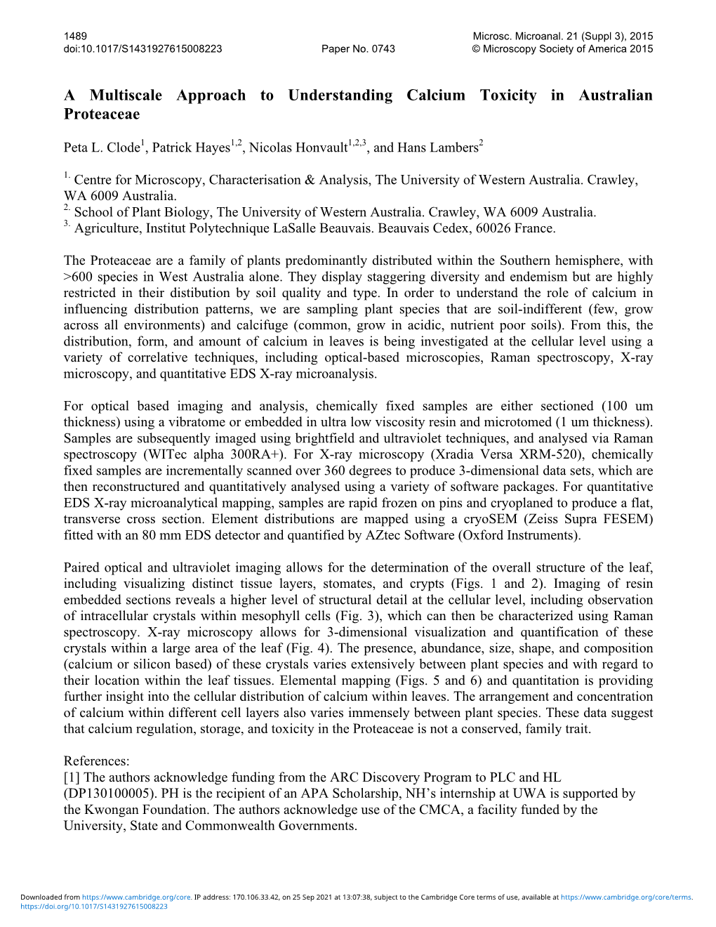 A Multiscale Approach to Understanding Calcium Toxicity in Australian Proteaceae