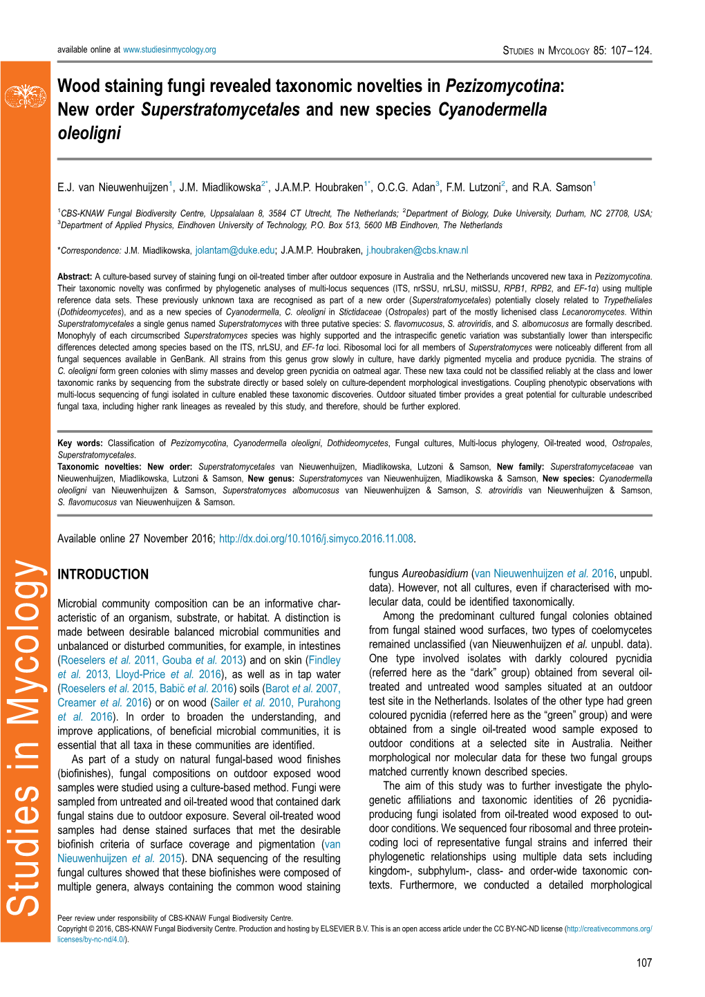 Wood Staining Fungi Revealed Taxonomic Novelties in Pezizomycotina: New Order Superstratomycetales and New Species Cyanodermella Oleoligni