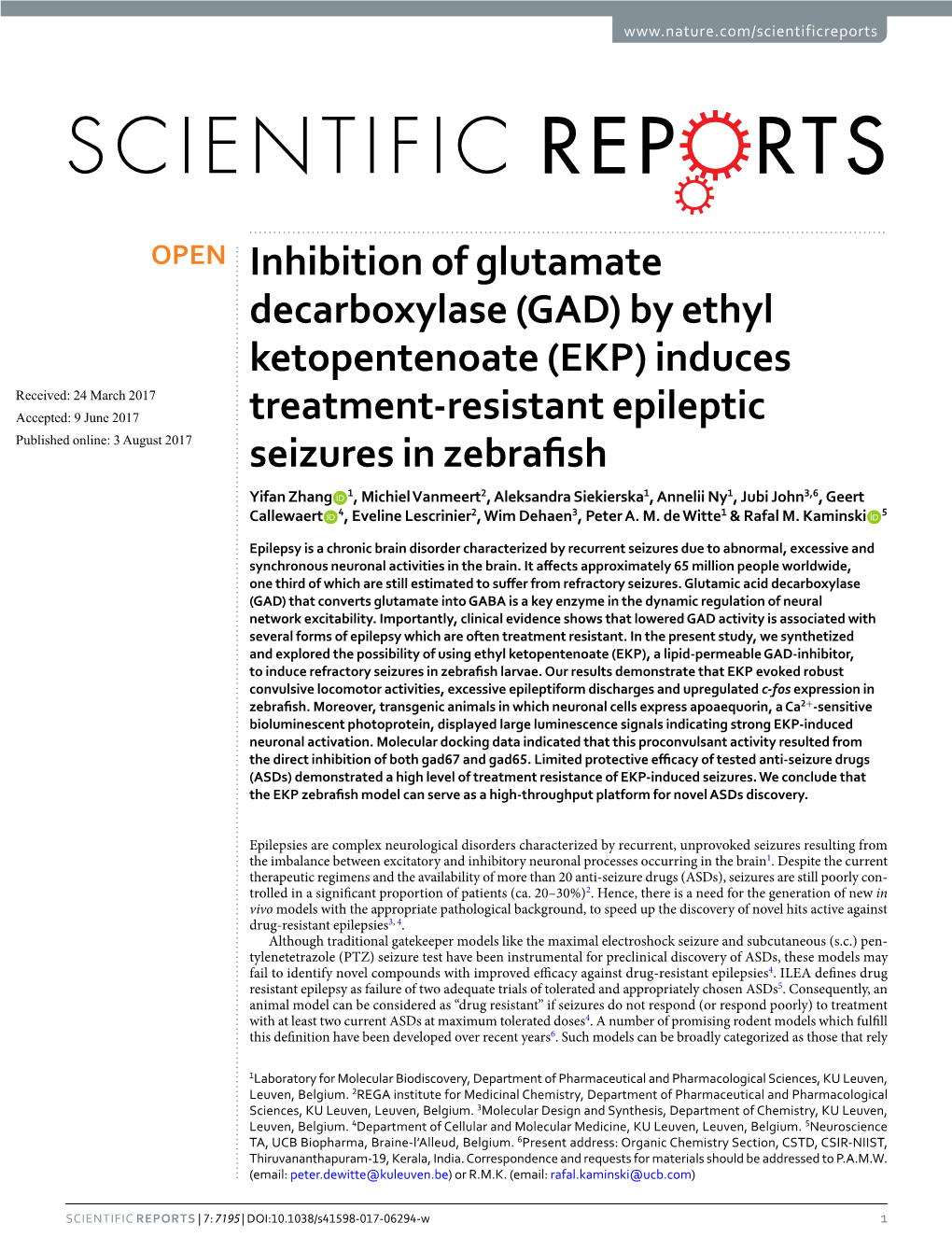 Inhibition of Glutamate Decarboxylase (GAD) by Ethyl Ketopentenoate (EKP)