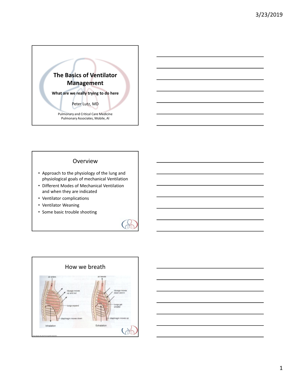 The Basics of Ventilator Management Overview How We Breath