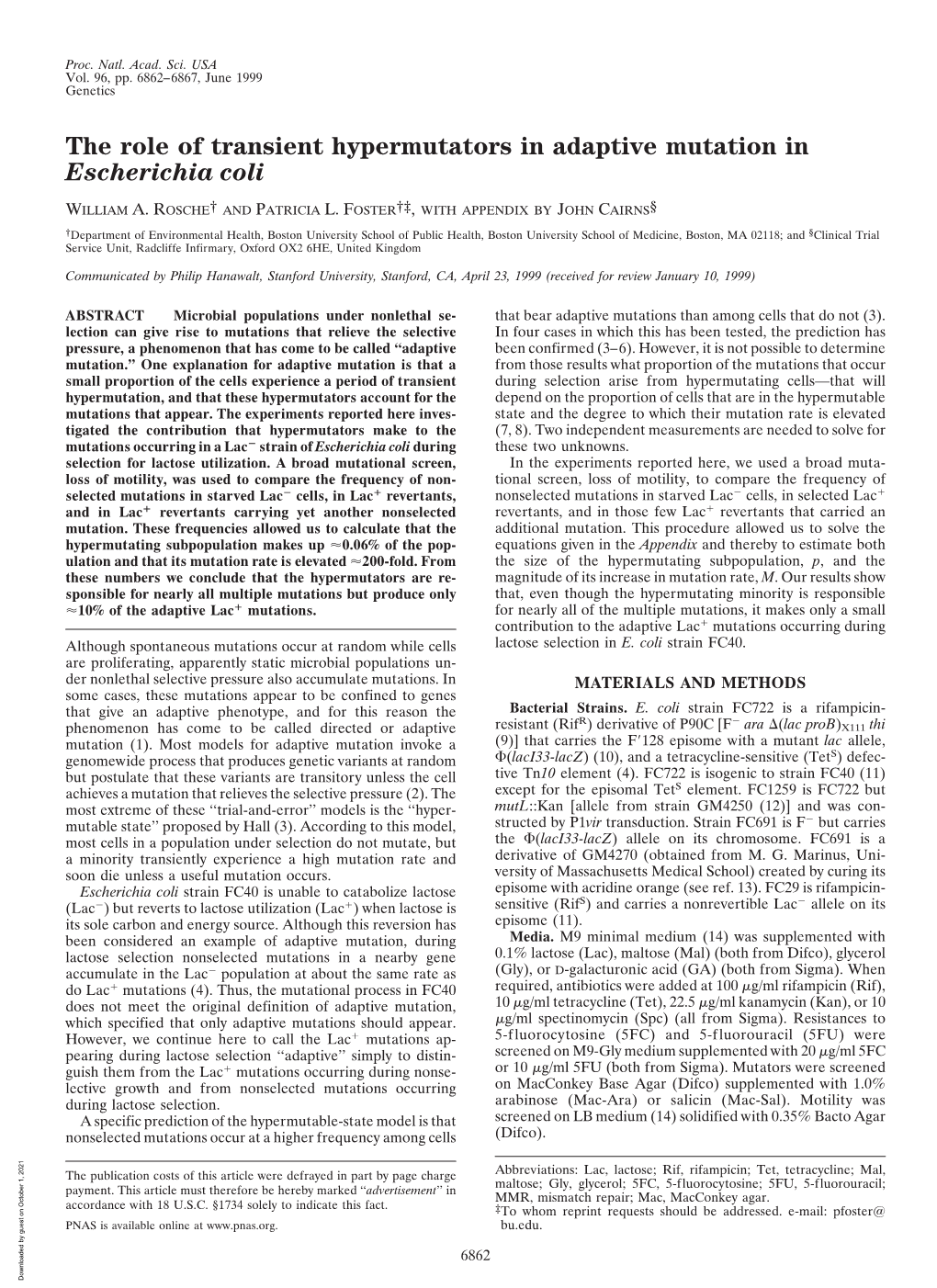 The Role of Transient Hypermutators in Adaptive Mutation in Escherichia Coli