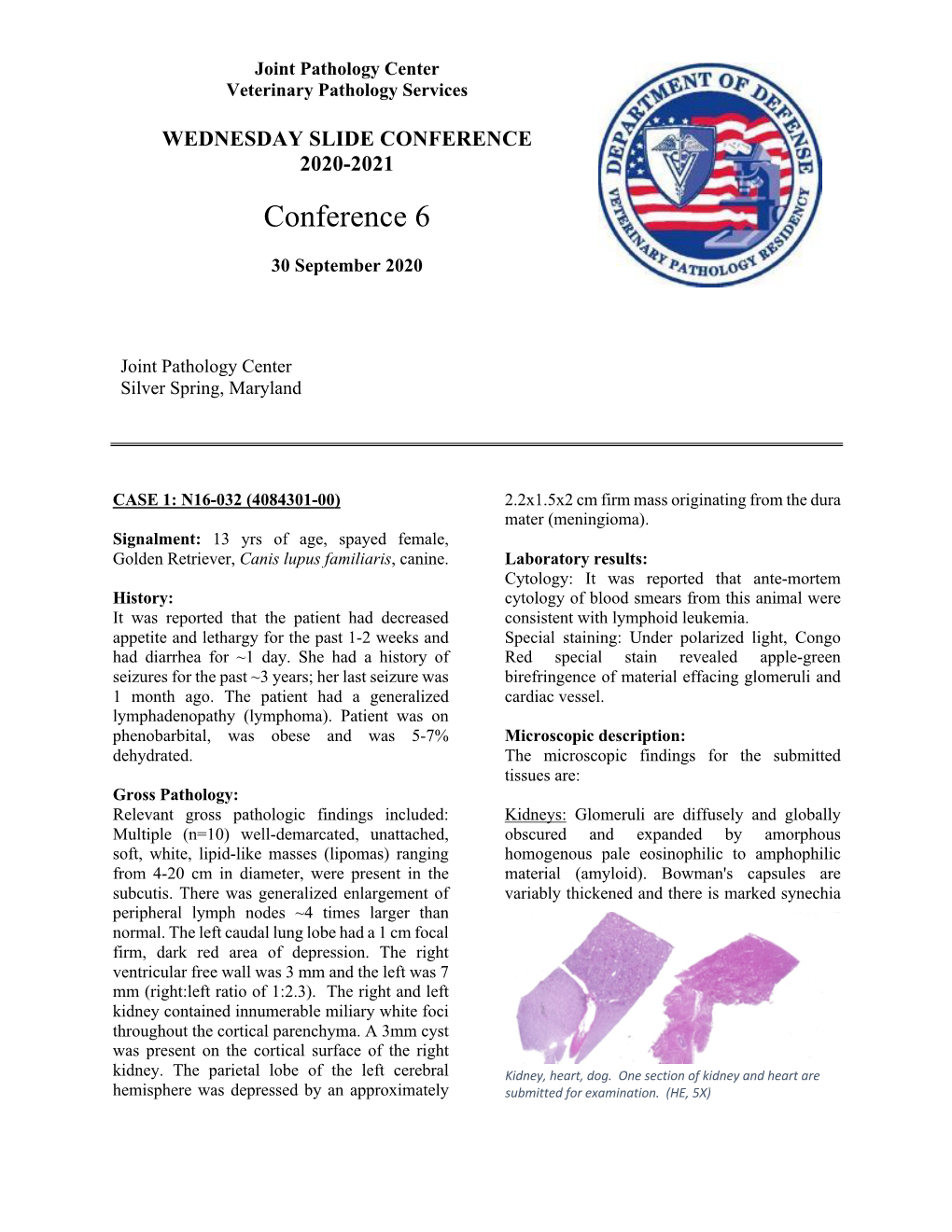 WSC 20-21 Conf 6 Illustrated Results