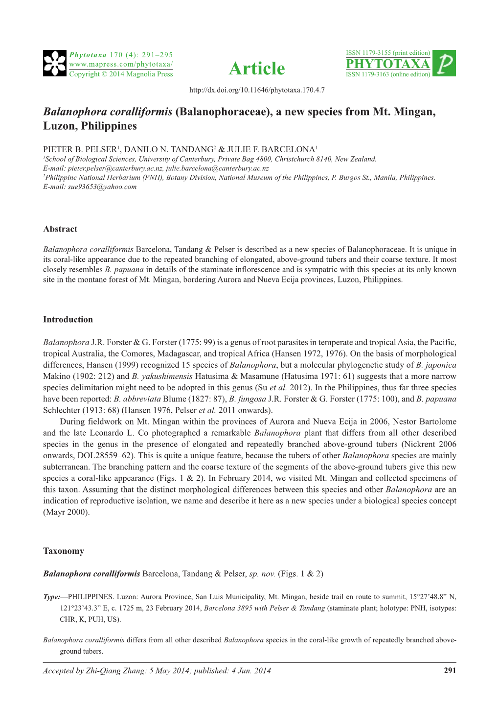 Balanophora Coralliformis (Balanophoraceae), a New Species from Mt