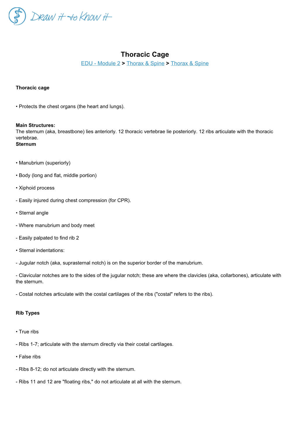 Thoracic Cage EDU - Module 2 > Thorax & Spine > Thorax & Spine