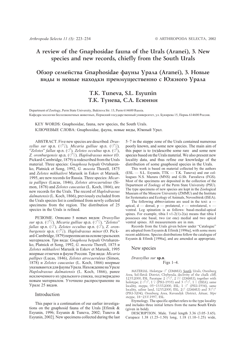 A Review of the Gnaphosidae Fauna of the Urals (Aranei), 3. New Species and New Records, Chiefly from the South Urals