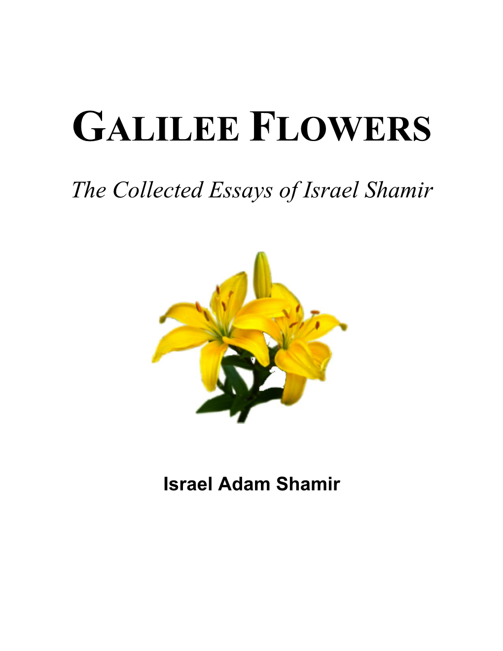 Galilee Flowers