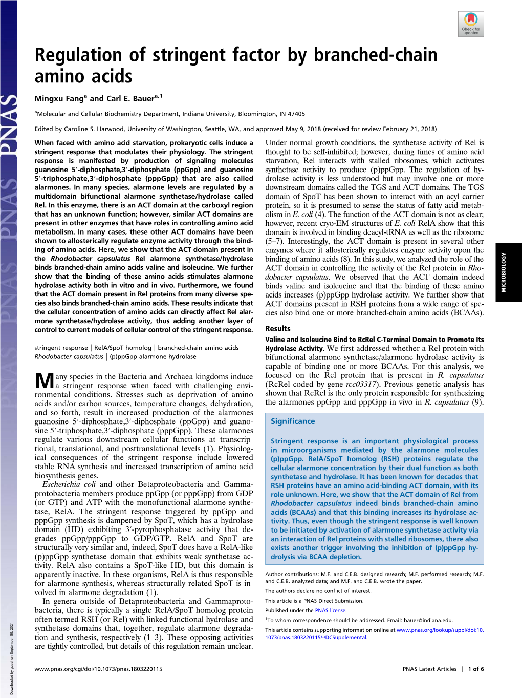 Regulation of Stringent Factor by Branched-Chain Amino Acids