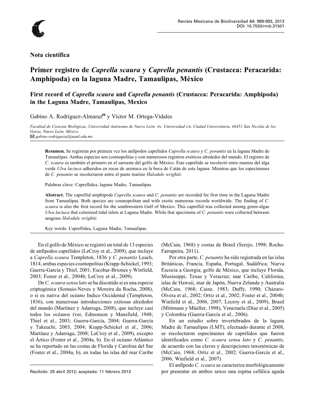 Primer Registro De Caprella Scaura Y Caprella Penantis (Crustacea: Peracarida: Amphipoda) En La Laguna Madre, Tamaulipas, México