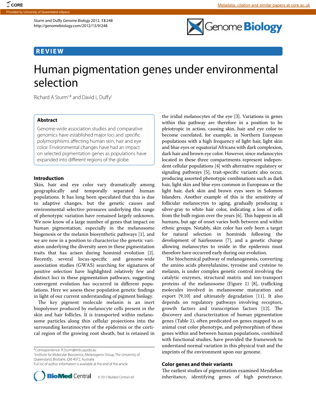 Human Pigmentation Genes Under Environmental Selection Richard a Sturm1,* and David L Duffy2