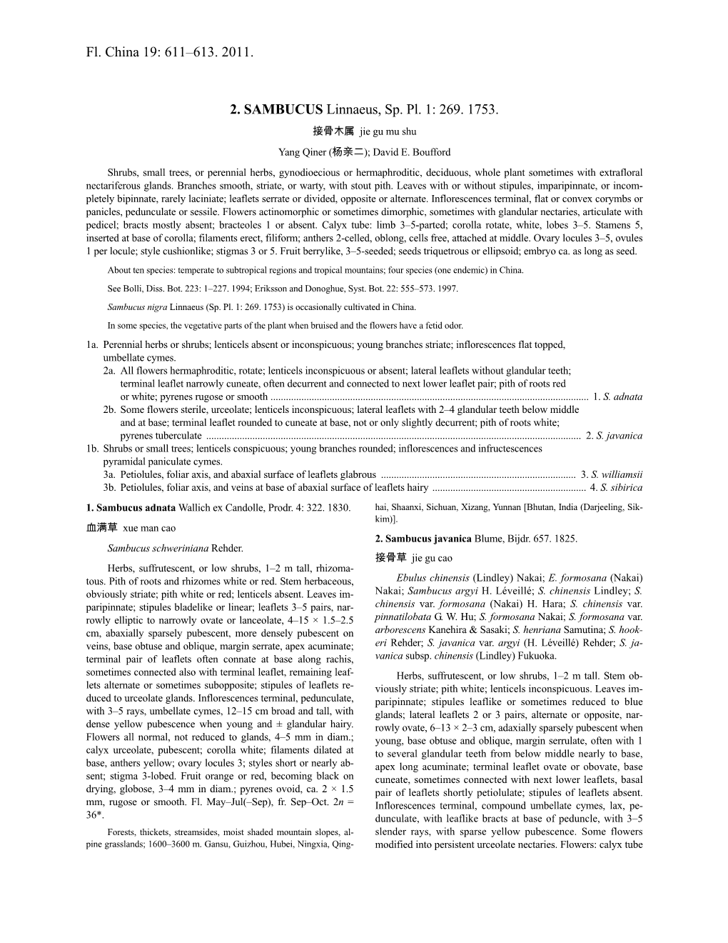 Fl. China 19: 611–613. 2011. 2. SAMBUCUS Linnaeus, Sp. Pl. 1