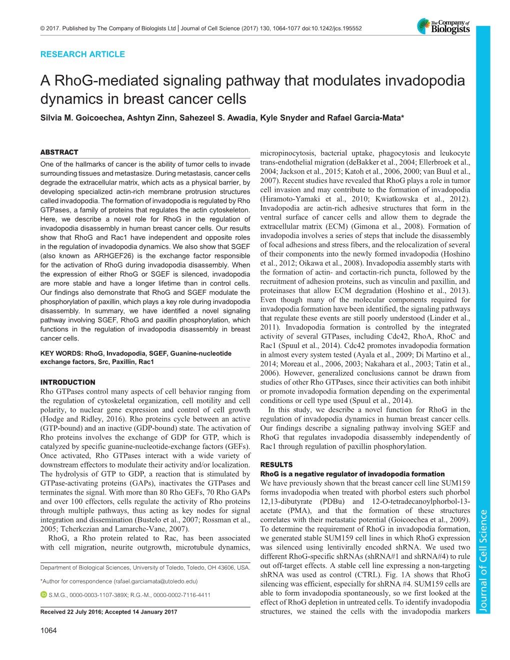 A Rhog-Mediated Signaling Pathway That Modulates Invadopodia Dynamics in Breast Cancer Cells Silvia M