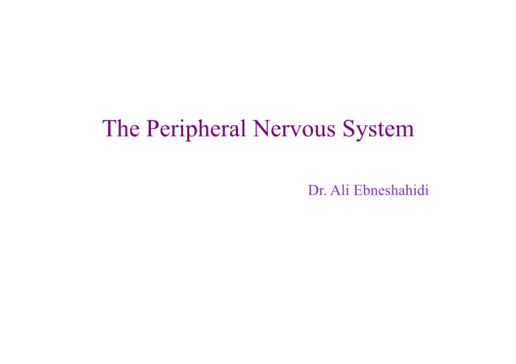 The Peripheral Nervous System