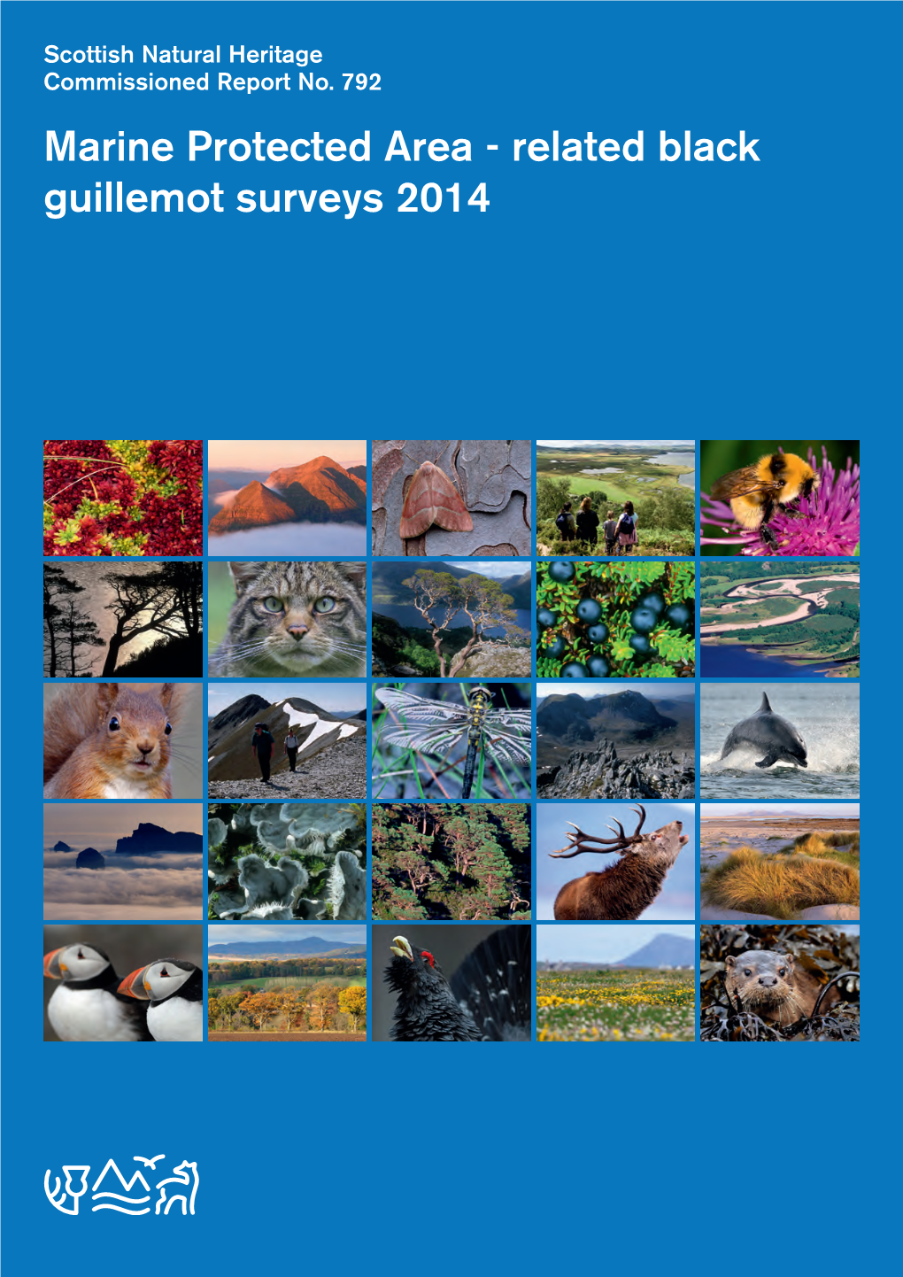 Related Black Guillemot Surveys 2014