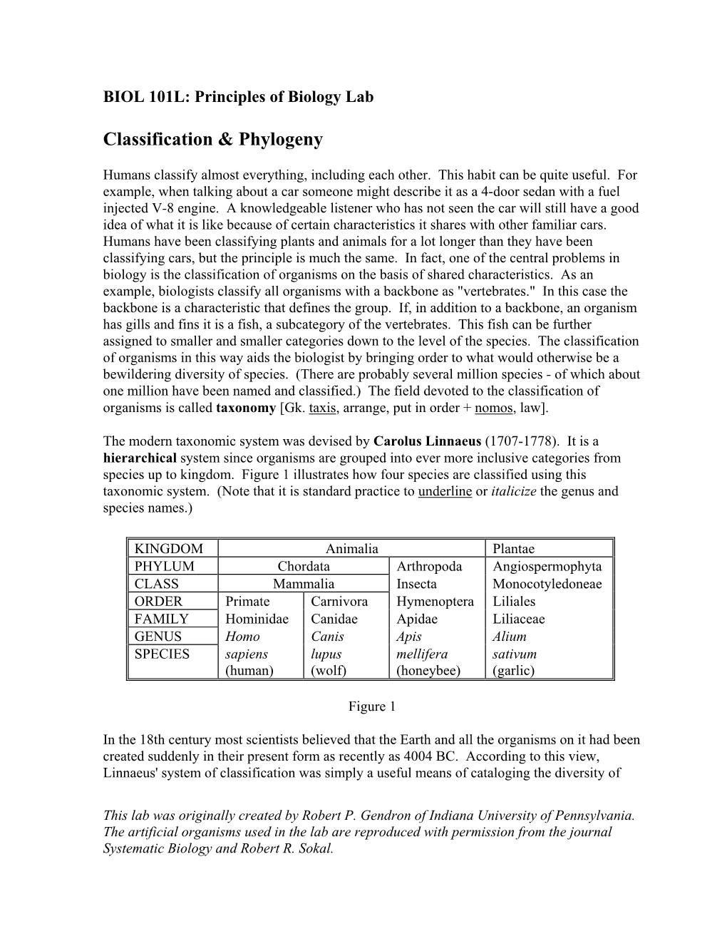 Phylogenetic Analysis