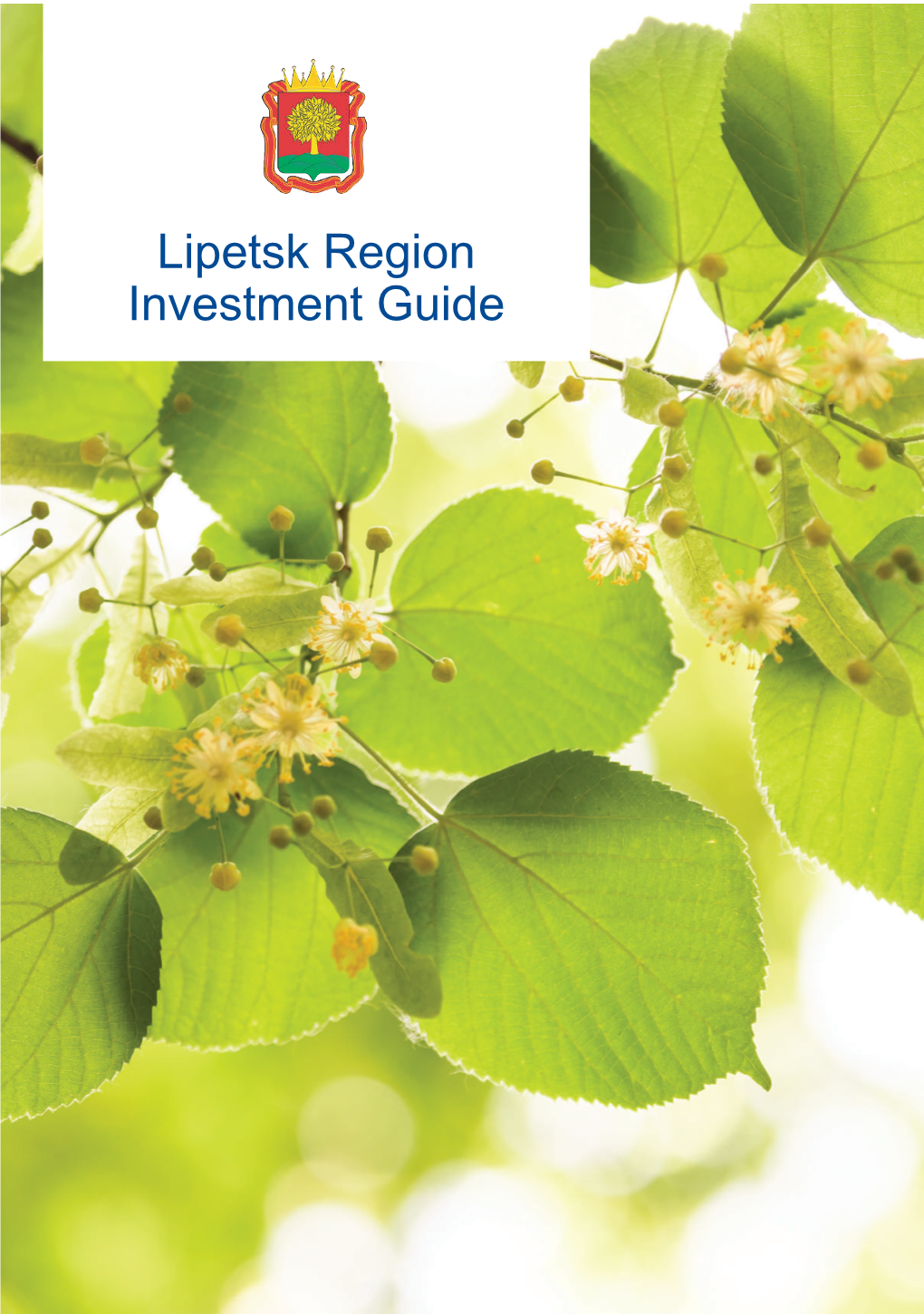 Lipetsk Region Investment Guide Igor Artamonov Acting Governor of the Lipetsk Region