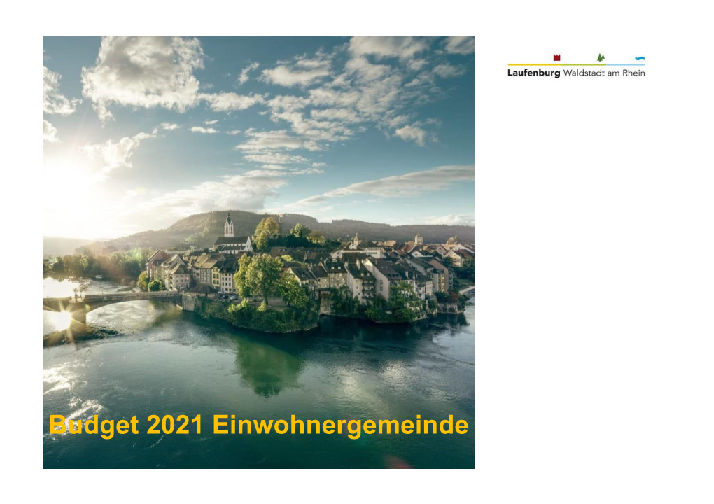 Kreditkontrolle Budget 2021 Einwohnergemeinde