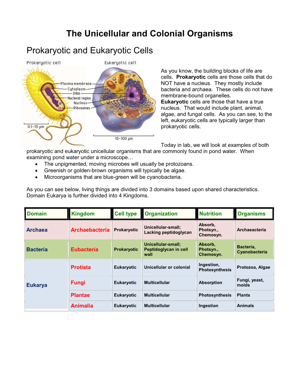 The Unicellular and Colonial Organisms Prokaryotic And