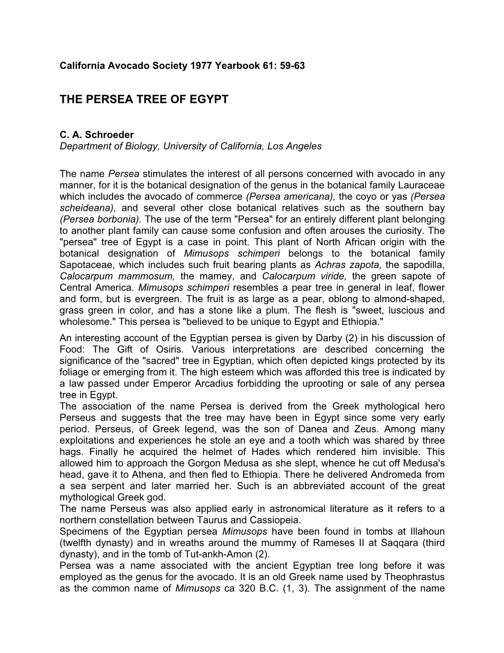 The Persea Tree of Egypt