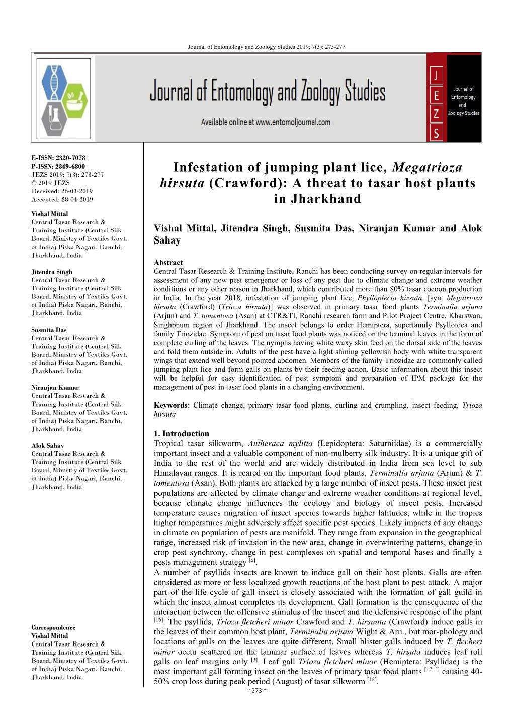 Infestation of Jumping Plant Lice, Megatrioza Hirsuta (Crawford)