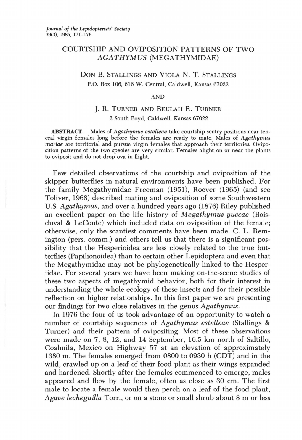 Courtship and Oviposition Patterns of Two Agathymus (Megathymidae)