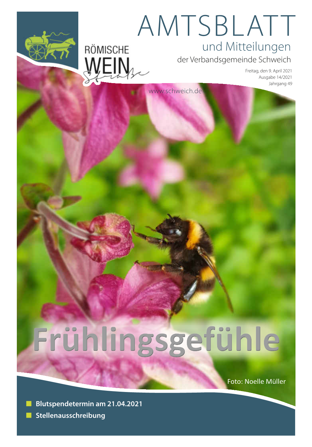 Amtsblatt Und Mitteilungen Der Verbandsgemeinde Schweich Freitag, Den 9