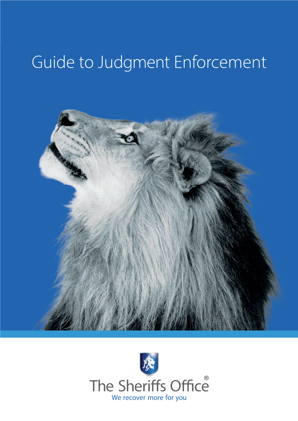 Guide to Judgment Enforcement