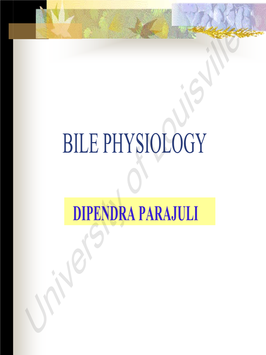 Bile Physiology