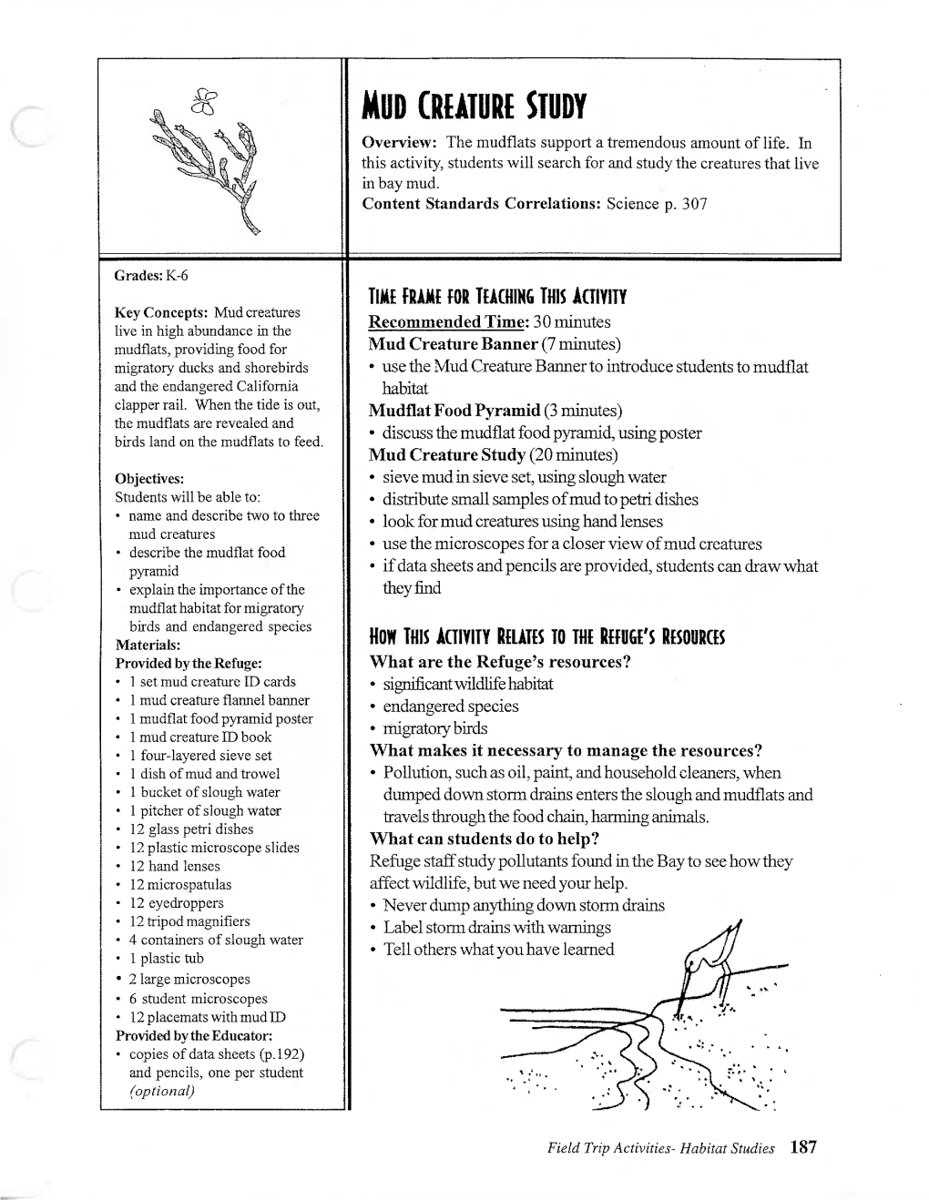 MUD CREATURE STUDY Overview: the Mudflats Support a Tremendous Amount of Life