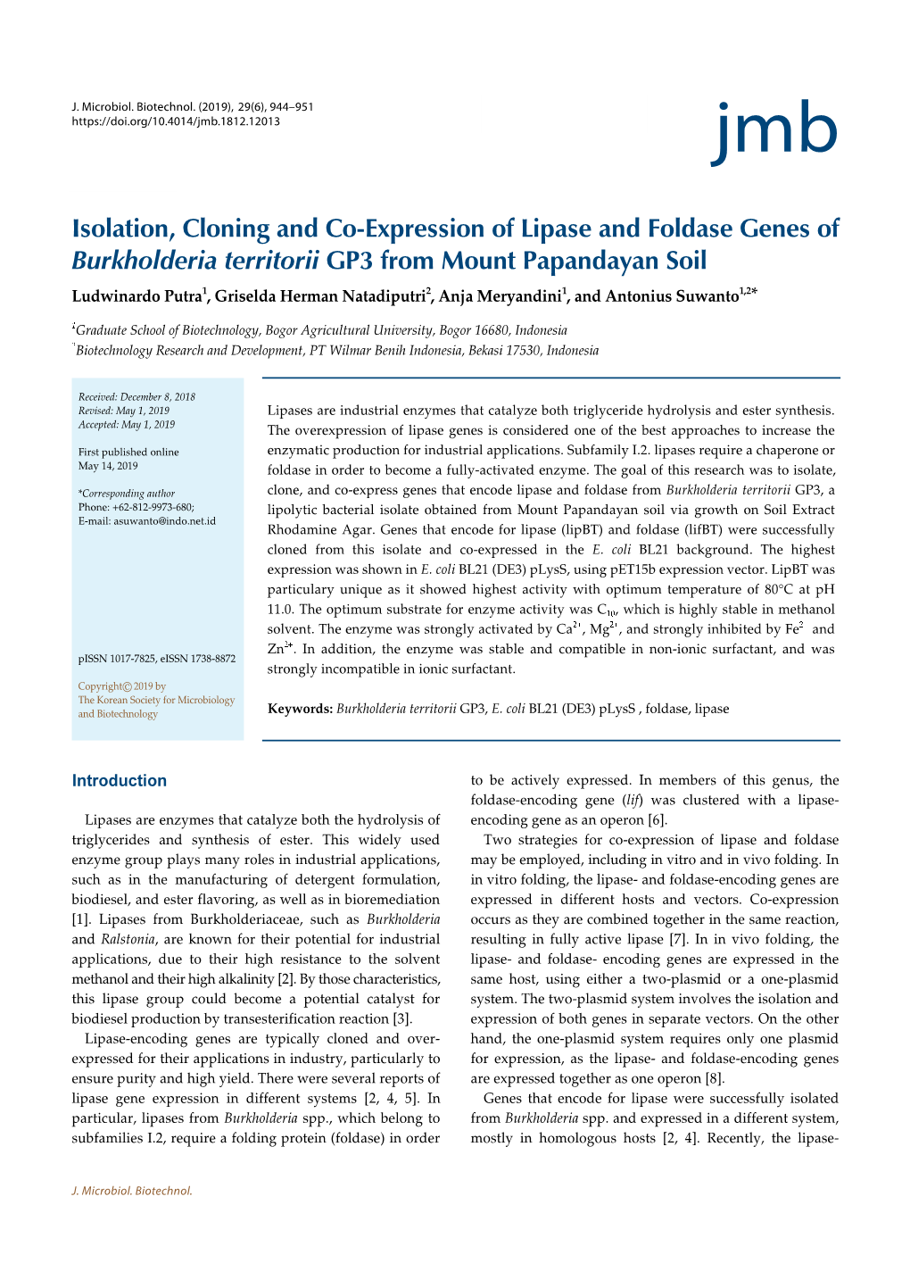 Isolation, Cloning and Co-Expression of Lipase and Foldase Genes of Burkholderia Territorii GP3 from Mount Papandayan Soil