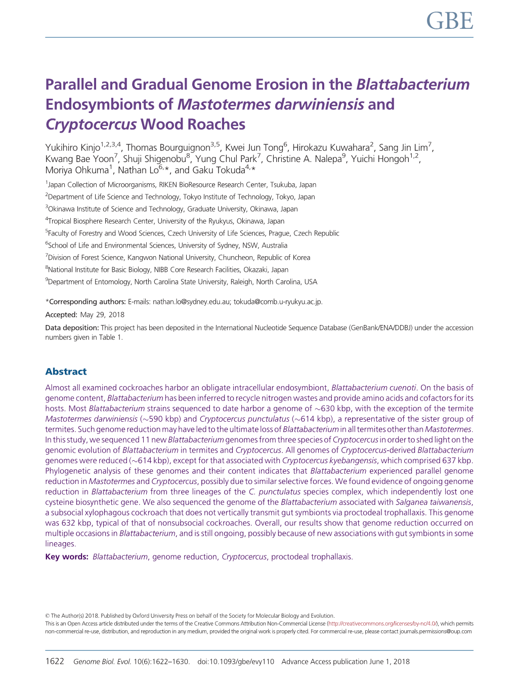 Parallel and Gradual Genome Erosion in the Blattabacterium Endosymbionts of Mastotermes Darwiniensis and Cryptocercus Wood Roaches
