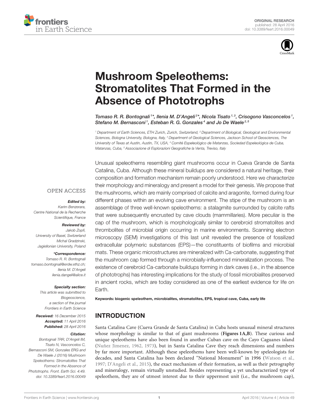 Mushroom Speleothems: Stromatolites That Formed in the Absence of Phototrophs