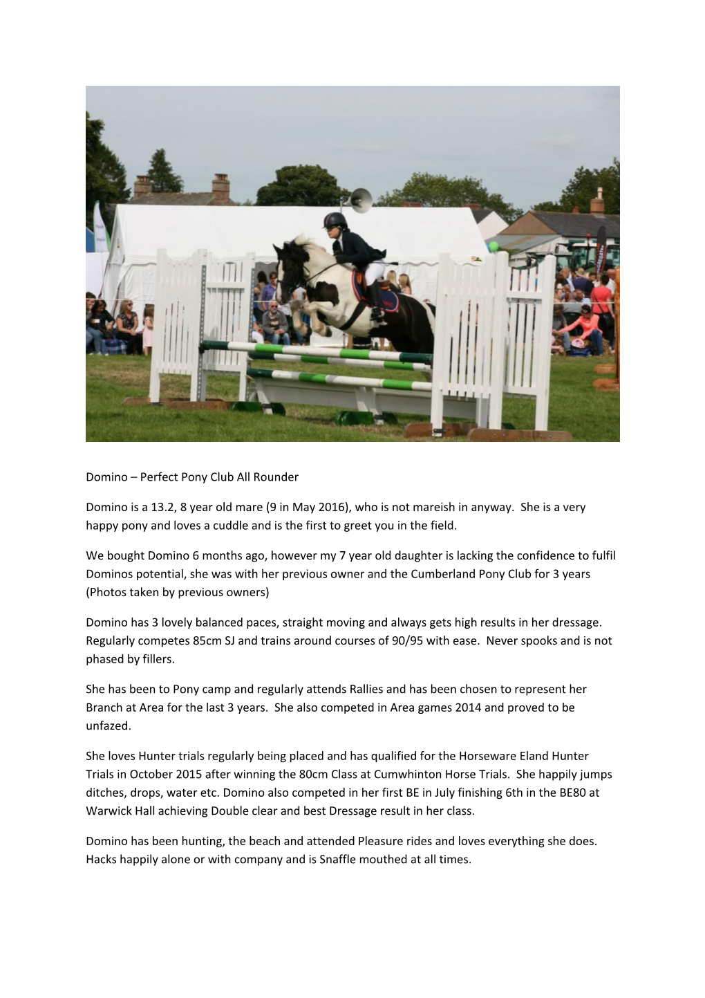 Domino Perfect Pony Club All Rounder