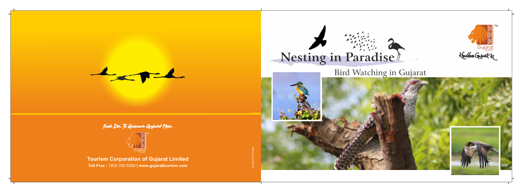 Nesting in Paradise Bird Watching in Gujarat