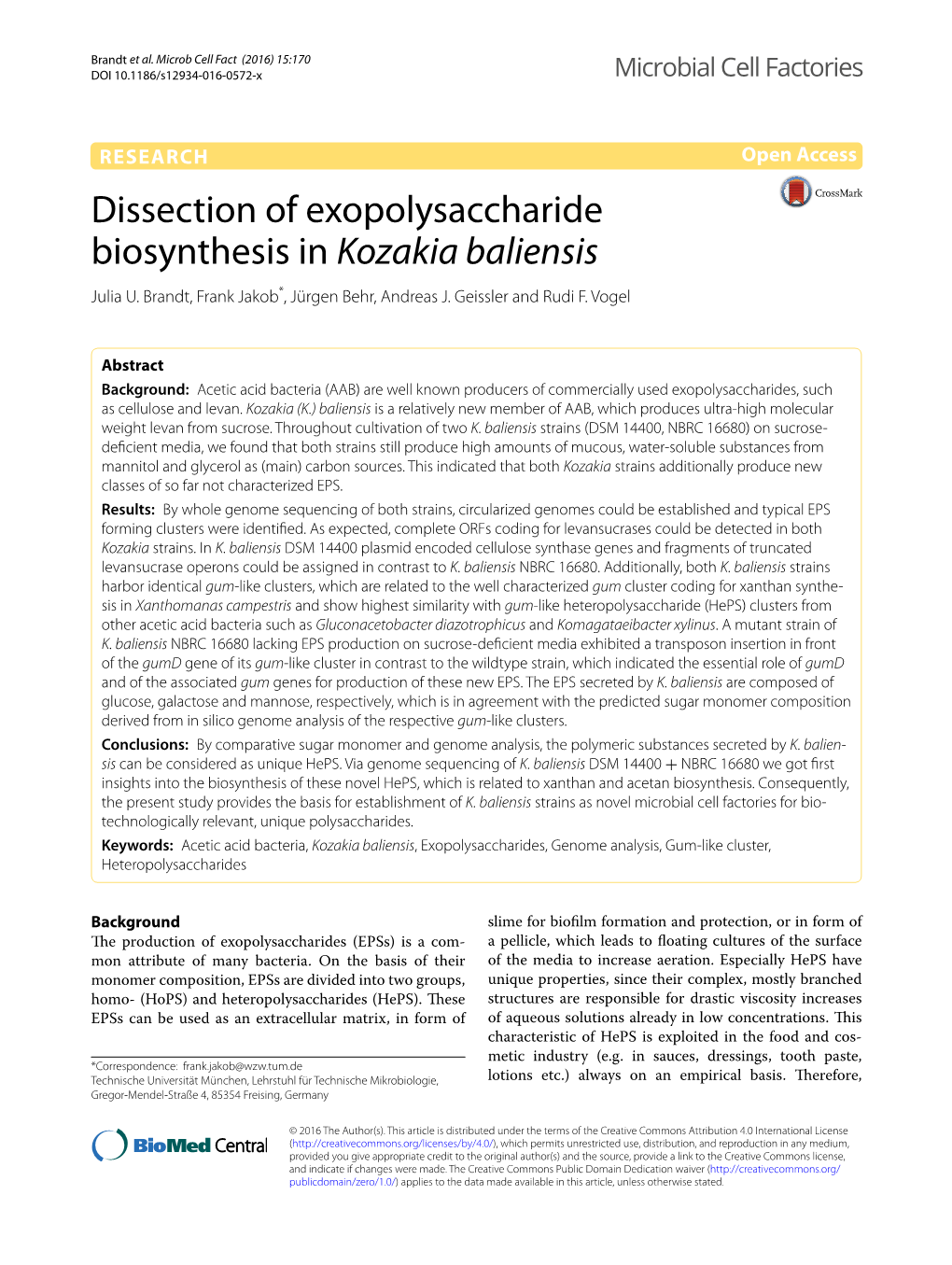 Dissection of Exopolysaccharide Biosynthesis in Kozakia Baliensis Julia U