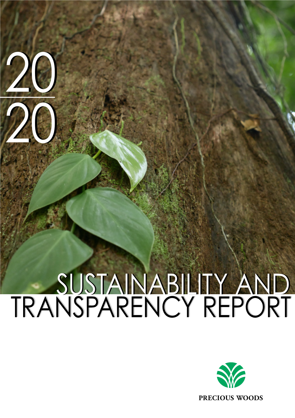 2020 Sustainability and Transparency Report