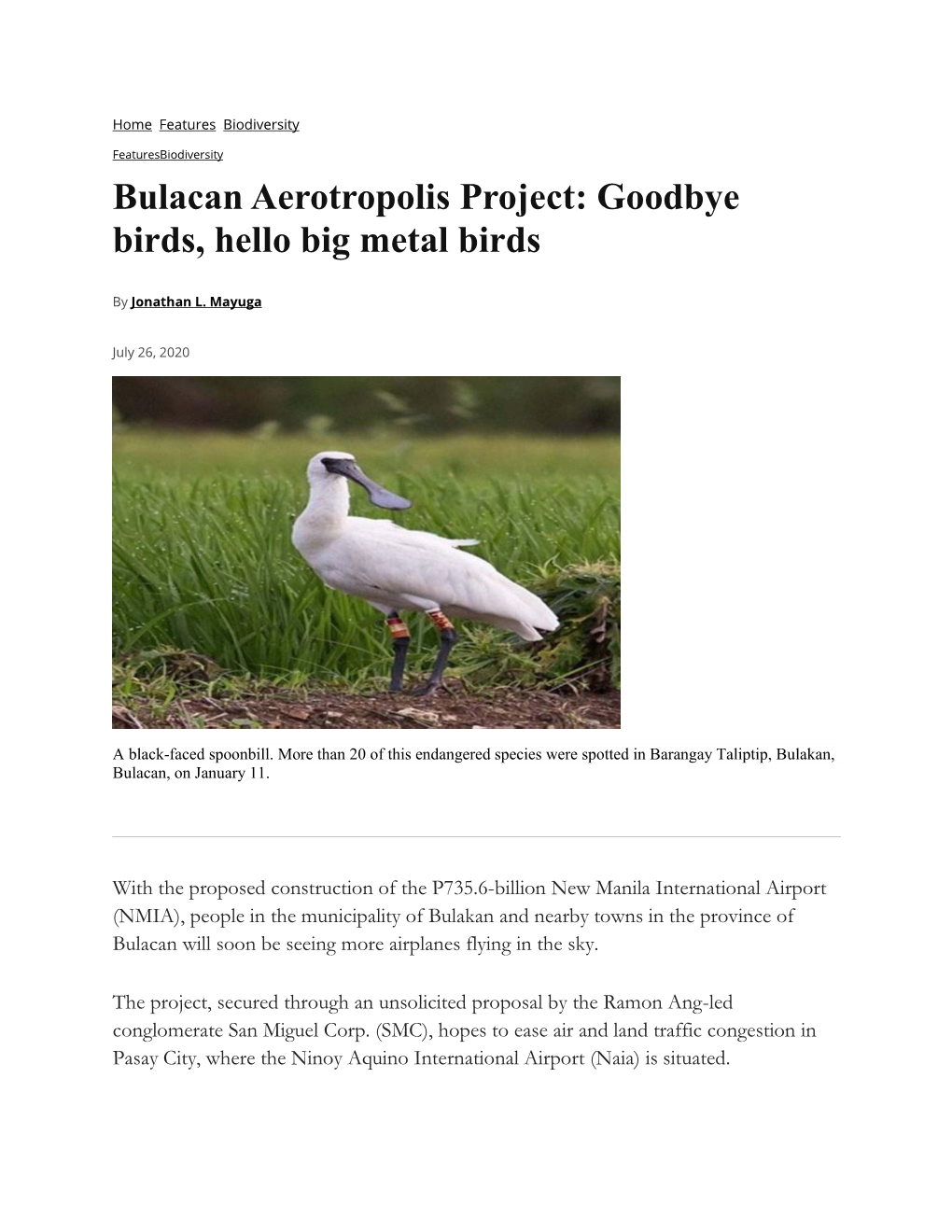 Bulacan Aerotropolis Project: Goodbye Birds, Hello Big Metal Birds