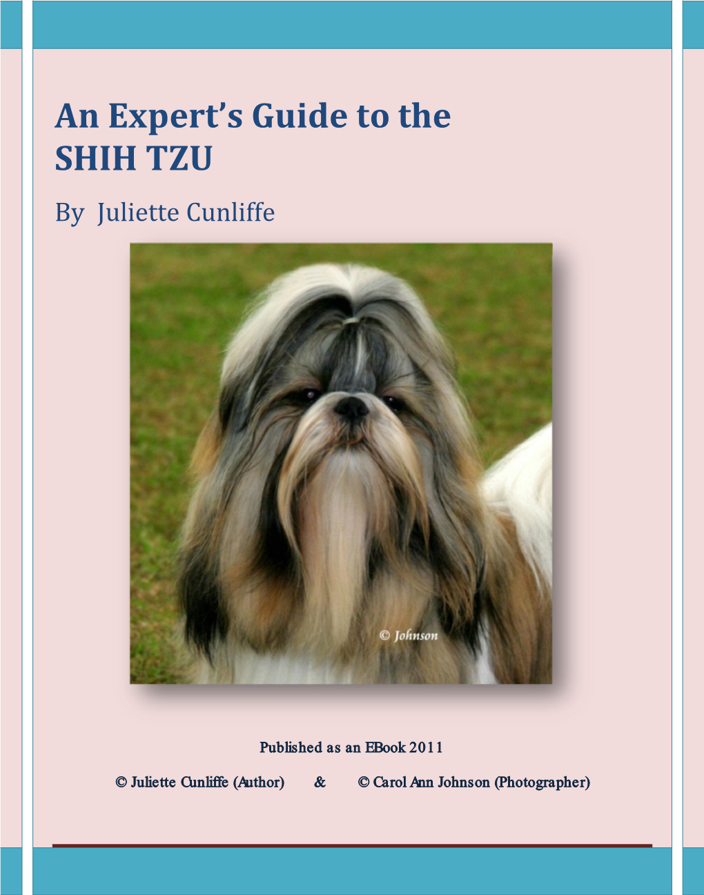 An Expert's Guide to the SHIH