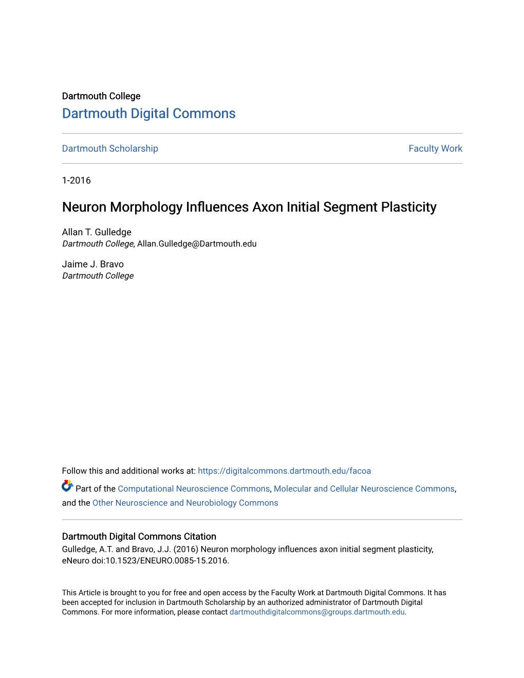 Neuron Morphology Influences Axon Initial Segment Plasticity